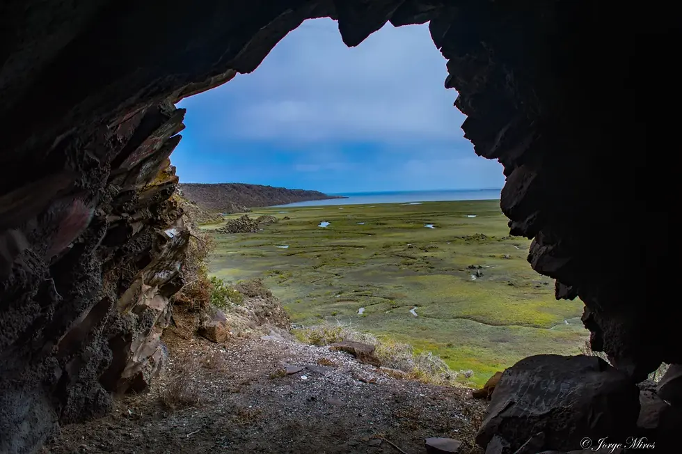 Las cuevas volcánicas en la periferia de la Bahía de San Quintín sirvieron como resguardo para los nativos Kiliwas. El piso y alrededores están cubiertos de concheros, acumulaciones de conchas de moluscos que recolectaban y consumían como parte importante de su dieta (Imagen y texto de Jorge Alberto Miros / Terra Peninsular).