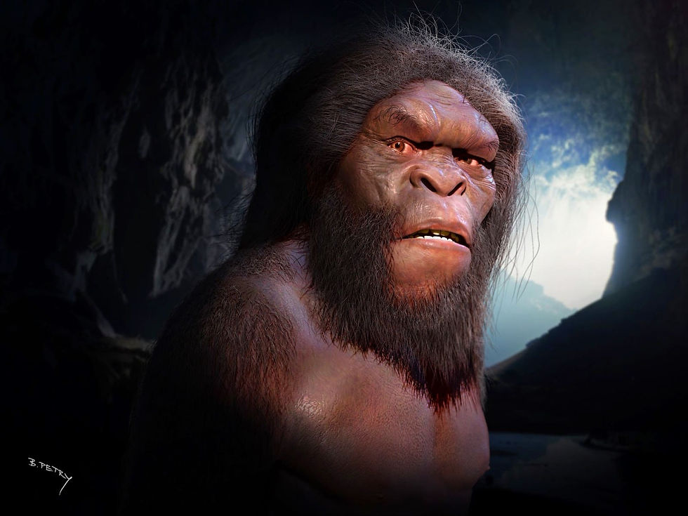 Representación artística del Homo erectus de Dmanisi, con base al Cráneo 4 (Imagen: Georgian National Museum., CC BY)