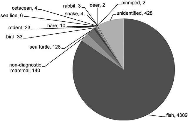 Resumen de los restos de fauna vertebrada recolectados en el sitio.