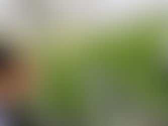 Pese a sus graves efectos en la agricultura y clima del planeta, la “plasticultura” persiste