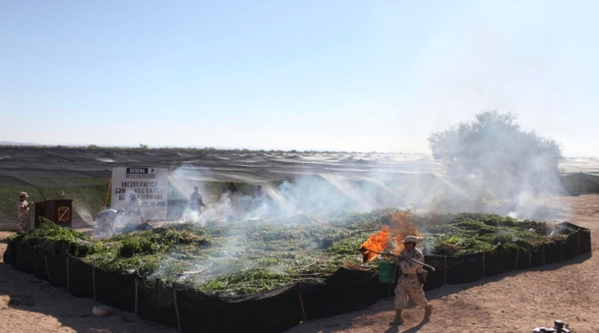 El mega plantío de marihuana en El Mármol. 120 hectáreas de alta tecnología que nadie veía (Archivo).