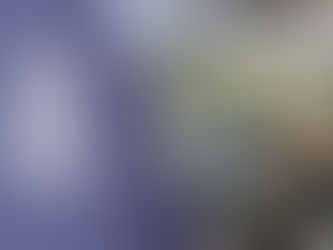 Exploring Animation Courses and Career Opportunities