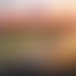 Plots for Sale in Ganjam