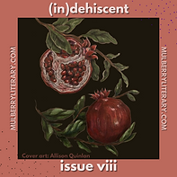 Cover Image by Allison Quinlan