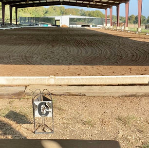 Quick, Basic Pointers From the Dressage Judge’s Box