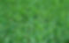 st-augustine-grass-dallas-tx.jpg