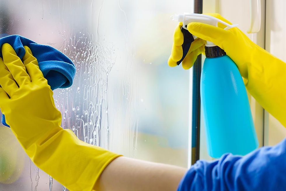 Window-Washer-2.jpg