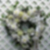 All White Open Heart