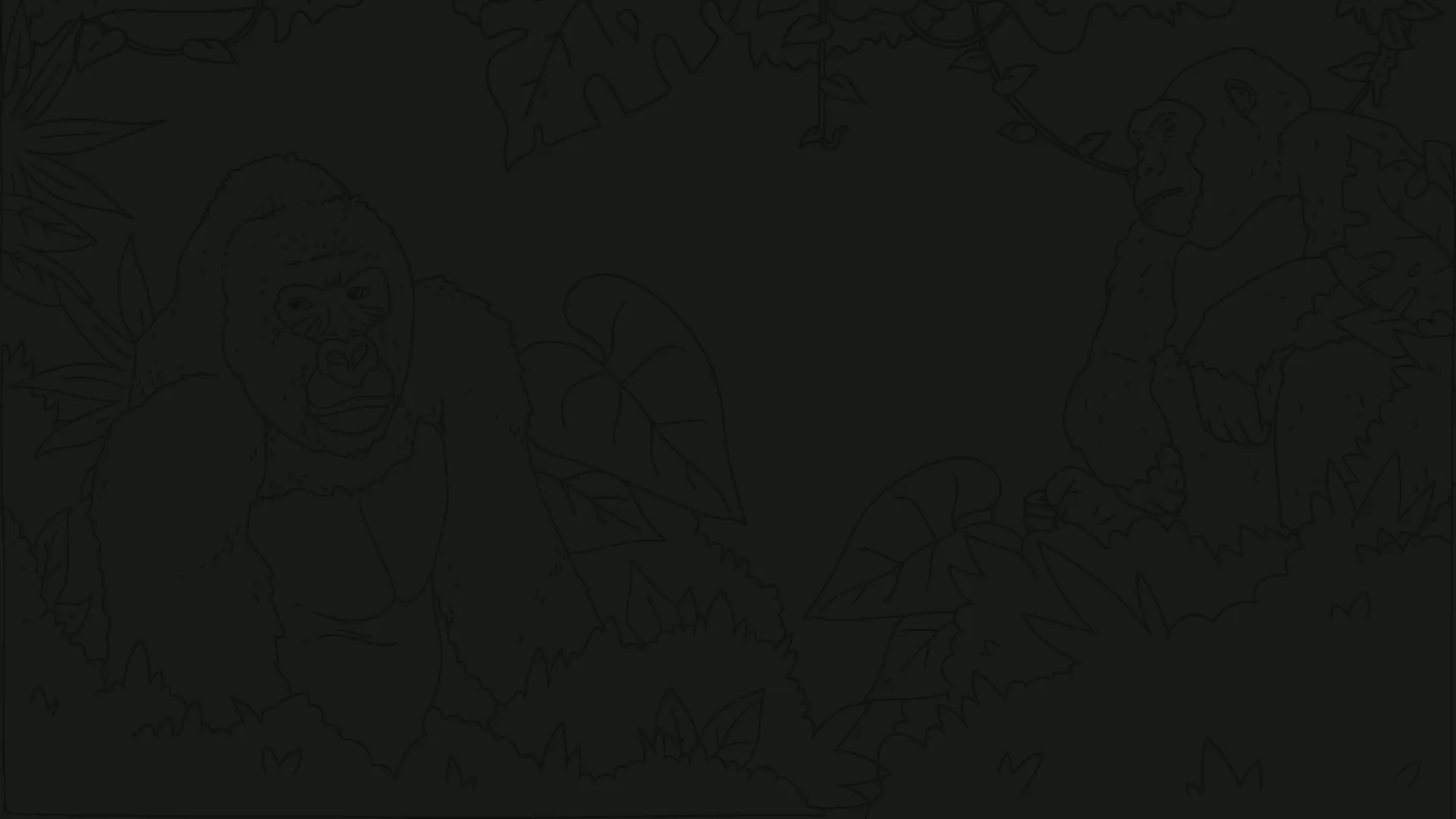 bg_video.webp