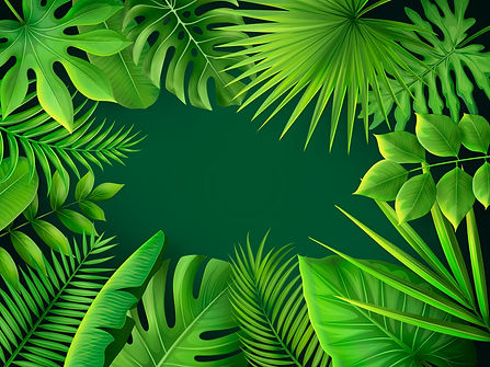 1a Tropical Background-edt.jpg
