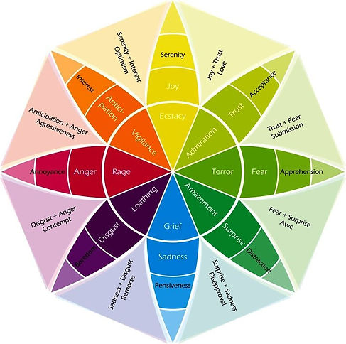 wheel-of-emotions.JPG