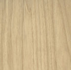 CASTING AT FIRST LIGHT.jpg