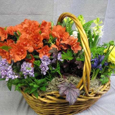 Mixed Spring Living Garden Basket