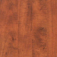 SUMMER FLAME L420.jpg