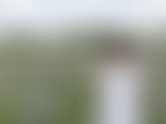 Keep Going. The Dream Is Already Within Reach.