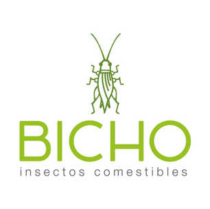 Bicho Insectos Comestibles | México