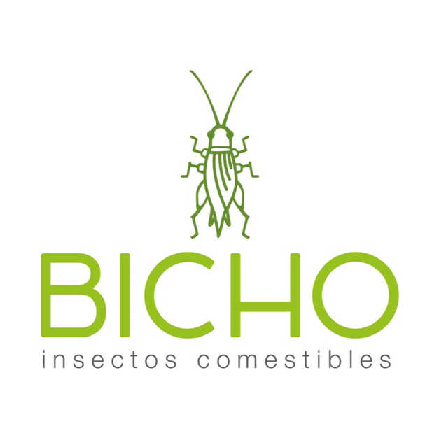 Bicho Insectos Comestibles | México