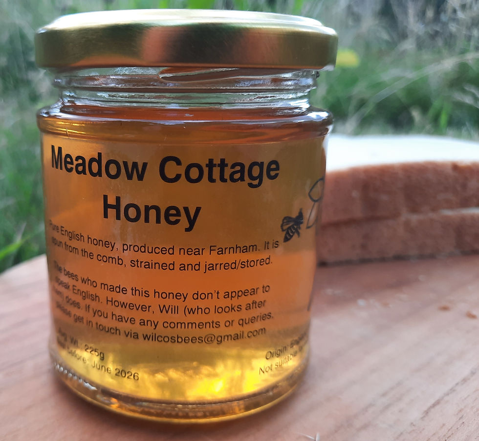 Thumbnail: Runny wildflower honey