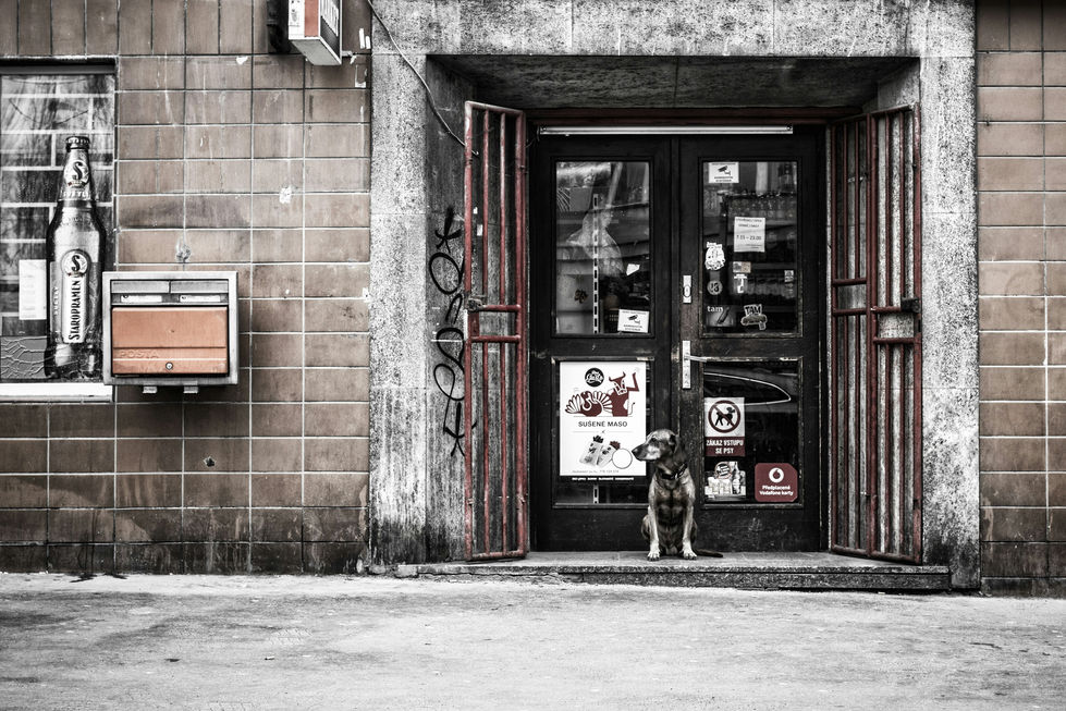 christoph-peich-eUuTubj2ozg-unsplash