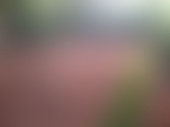 SOIL PREPARATION – DO IT RIGHT THE FIRST TIME!! 