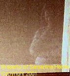 ghost2.jpg