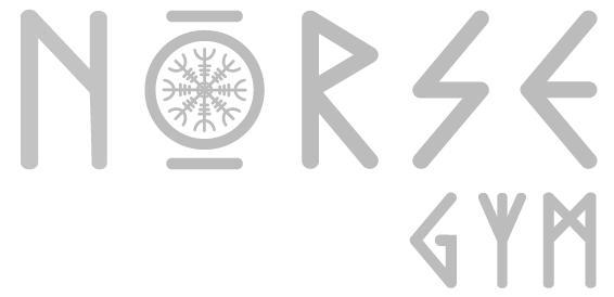 NORSE GYM LOGO GREY.png