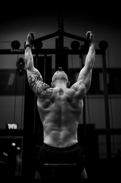 functional bodybuilding program