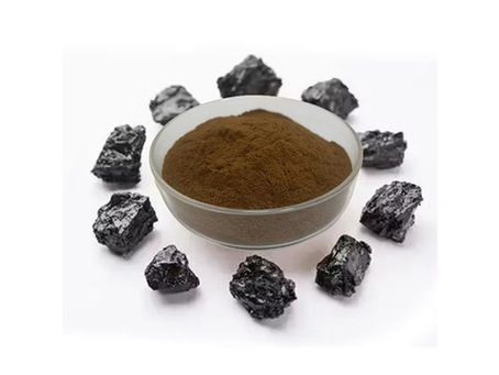 ⚡ Shilajit Extract Powder – La Dolce India | Bulk Suppliers & Exporters in Europe