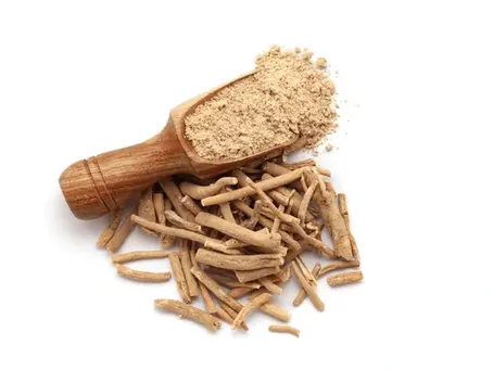 🌿 Ashwagandha Extract Powder – Leading Bulk Suppliers & Exporters in the USA