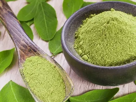 🌿 Organic Henna Powder – La Dolce India | Bulk Suppliers & Exporters in Russia