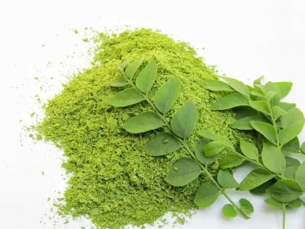 Organic Curry Leaf Powder - La Dolce India
