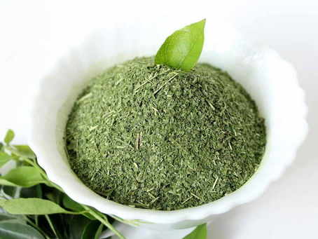πΏ Organic Curry Leaf Powder β La Dolce India | Bulk Suppliers & Exporters in Japan