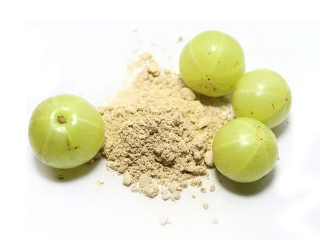 🌿 Organic Amla Powder – Leading Bulk Suppliers & Exporters in the USA