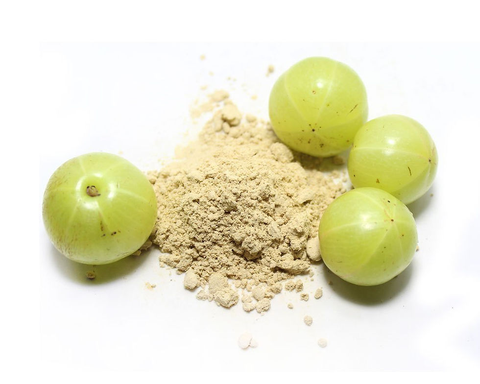 Organic Amla Powder - La Dolce India
