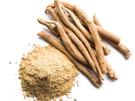 🌿 Organic Ashwagandha Powder – La Dolce India | Bulk Suppliers & Exporters in Africa