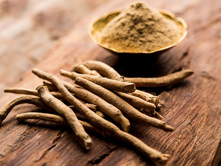 ๐ฟ Organic Ashwagandha Powder โ La Dolce India | Bulk Suppliers & Exporters in Europe