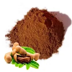 🍃 Organic Tamarind Powder – Leading Bulk Suppliers & Exporters in the USA