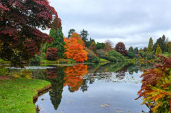 An English Autumn in the Park