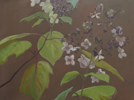November Hydrangeas