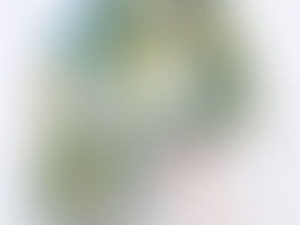 Indigo with Weld & Myrobalan