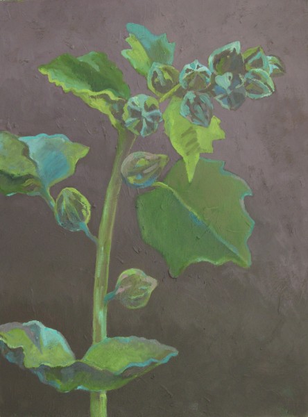 Hollyhock I 5473