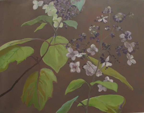 Hydrangea November