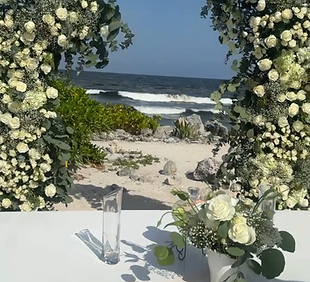 Untitled design (34).png