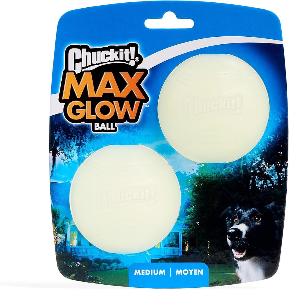 Chuckit! Glow in the Dark Bouncy Balls - Ball for Dogs, Chuckit Dog Toy, Max Glow Balls - Medium, 2.5 Inch Pack of 2