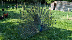 Séjour Marais Poitevin 2025