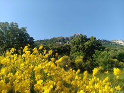 Rouffiac des Corbières