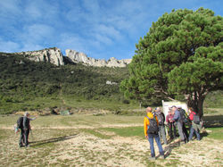 Duilhac sous Peyrepertuse