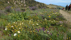 Fête de la Randonnée