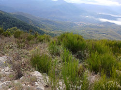 Saint Laurent de Cerdans