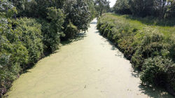 Séjour Marais Poitevin 2025